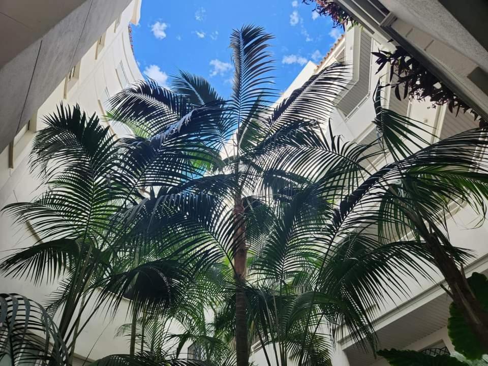 Apartment Beachfront Accommodation 埃斯特波纳 外观 照片